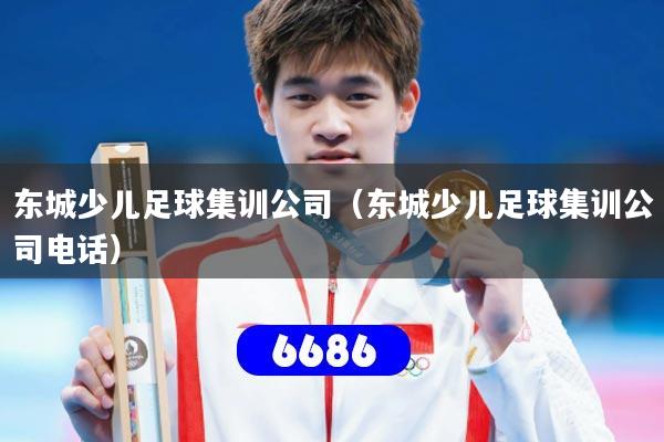 东城少儿足球集训公司（东城少儿足球集训公司电话）